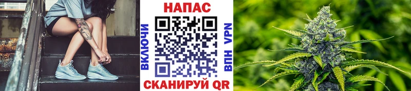 Марихуана конопля  Высоцк 